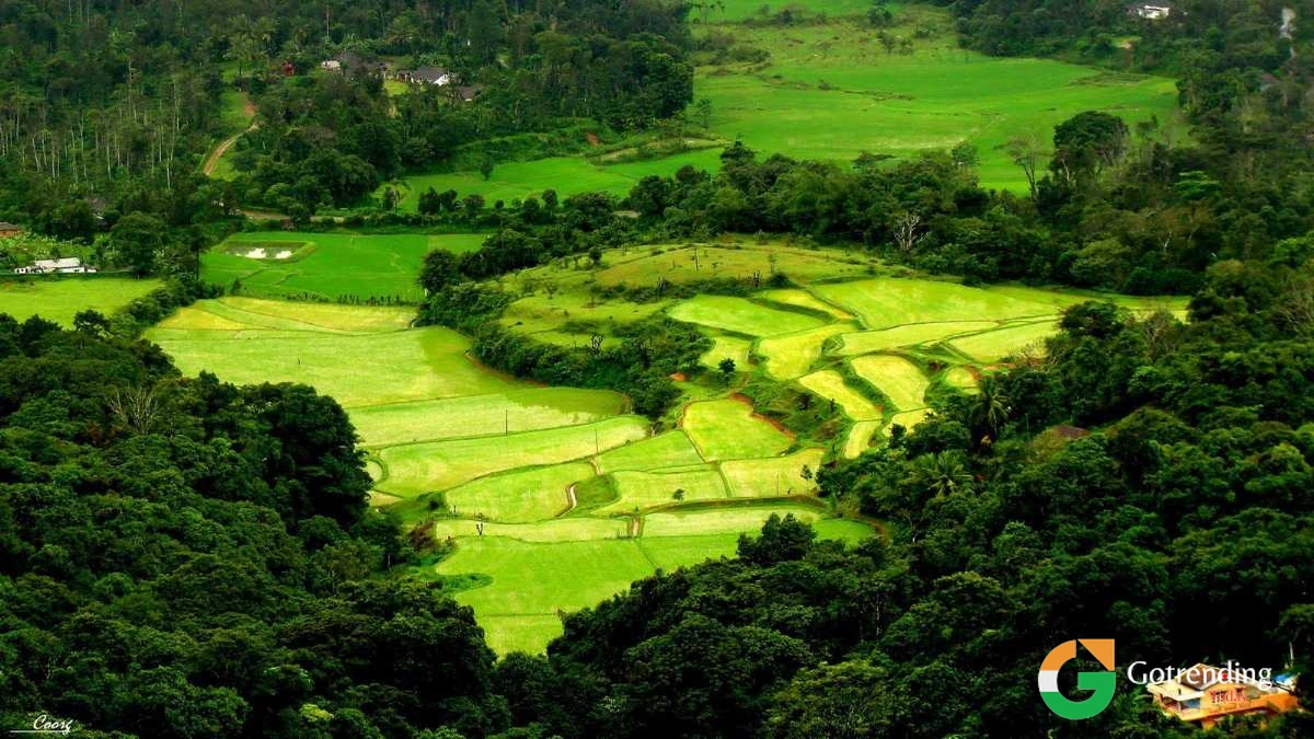 कॉफी की खुशबू से आगे | कोडावा संस्कृति का अनछुआ पहलू