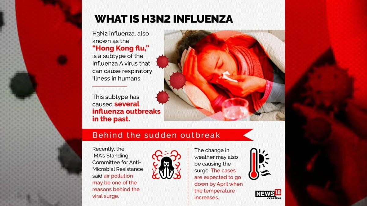 H3N2 શું છે અને તે શા માટે મહત્વપૂર્ણ છે?