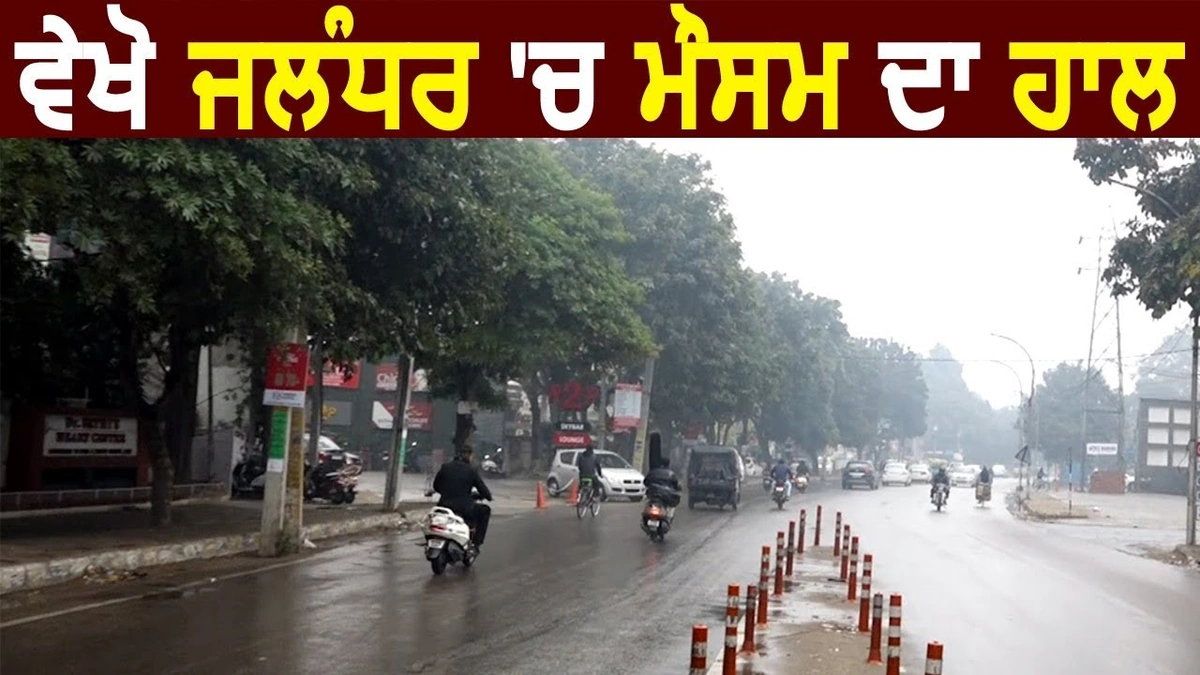 jalandhar weather
